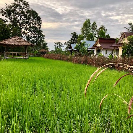 Baan Thung Home Stay Prasat Luaran gambar