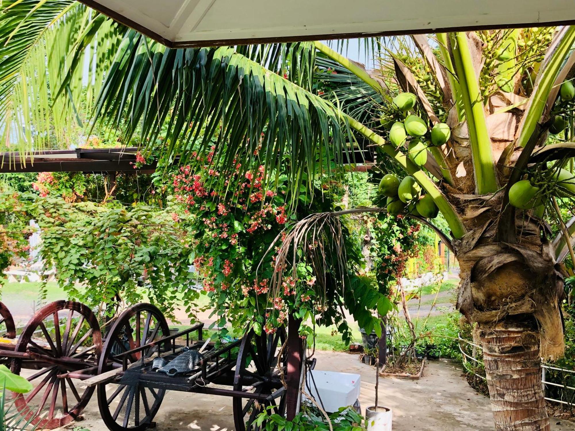 Baan Thung Home Stay Prasat Luaran gambar