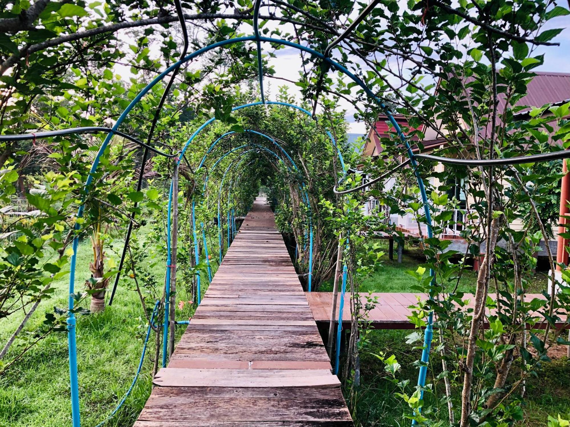 Baan Thung Home Stay Prasat Luaran gambar