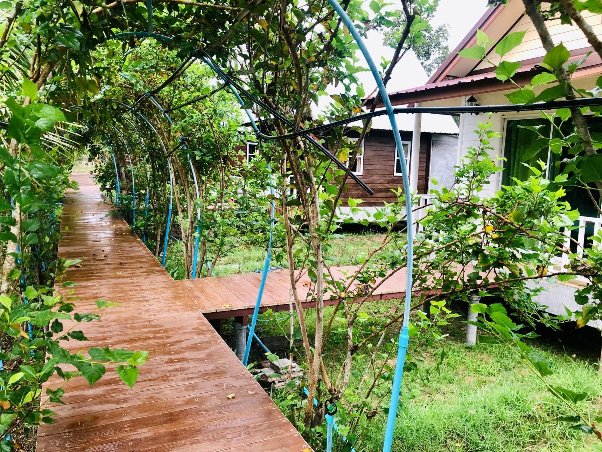 Baan Thung Home Stay Prasat Luaran gambar
