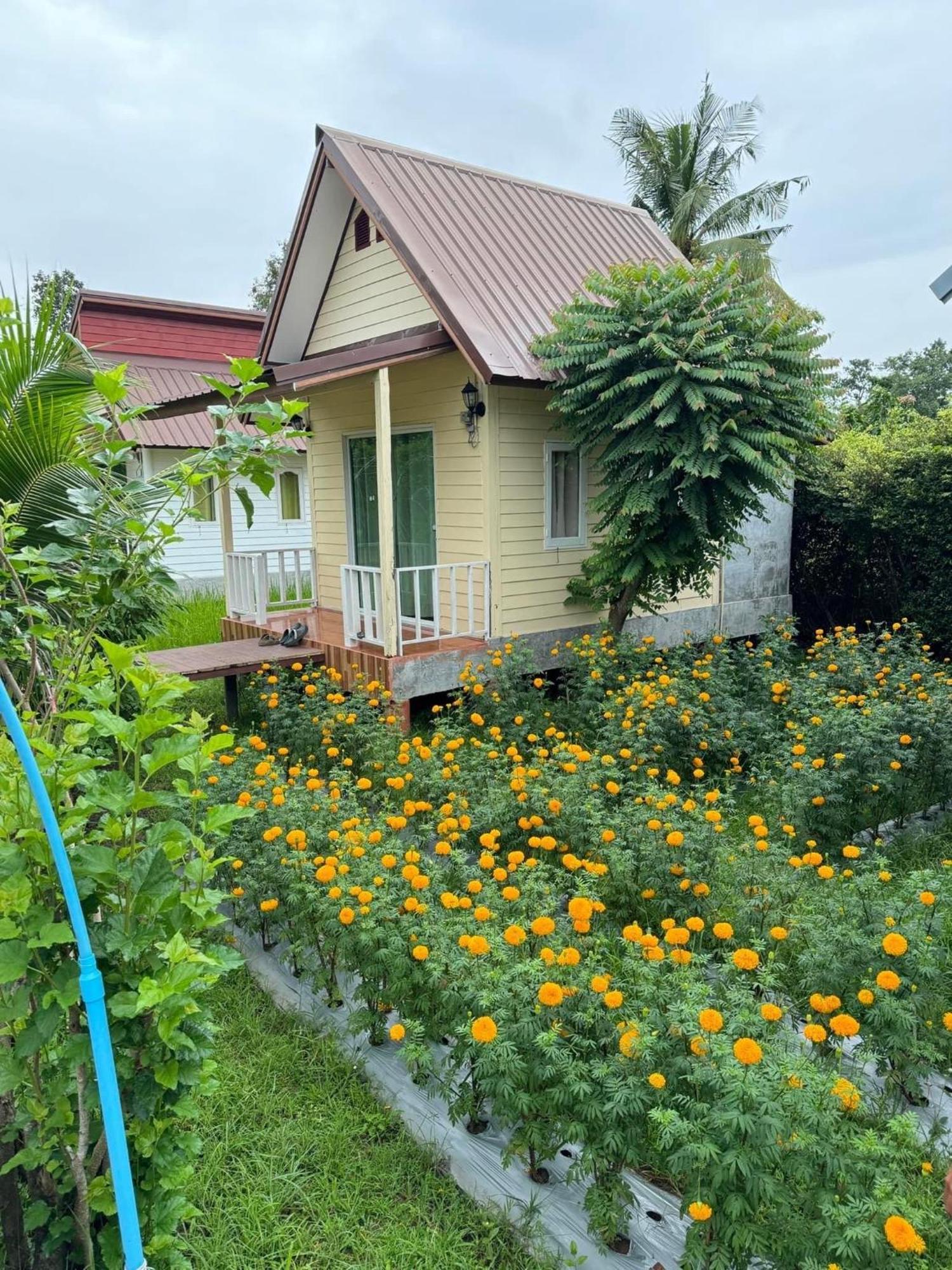 Baan Thung Home Stay Prasat Luaran gambar