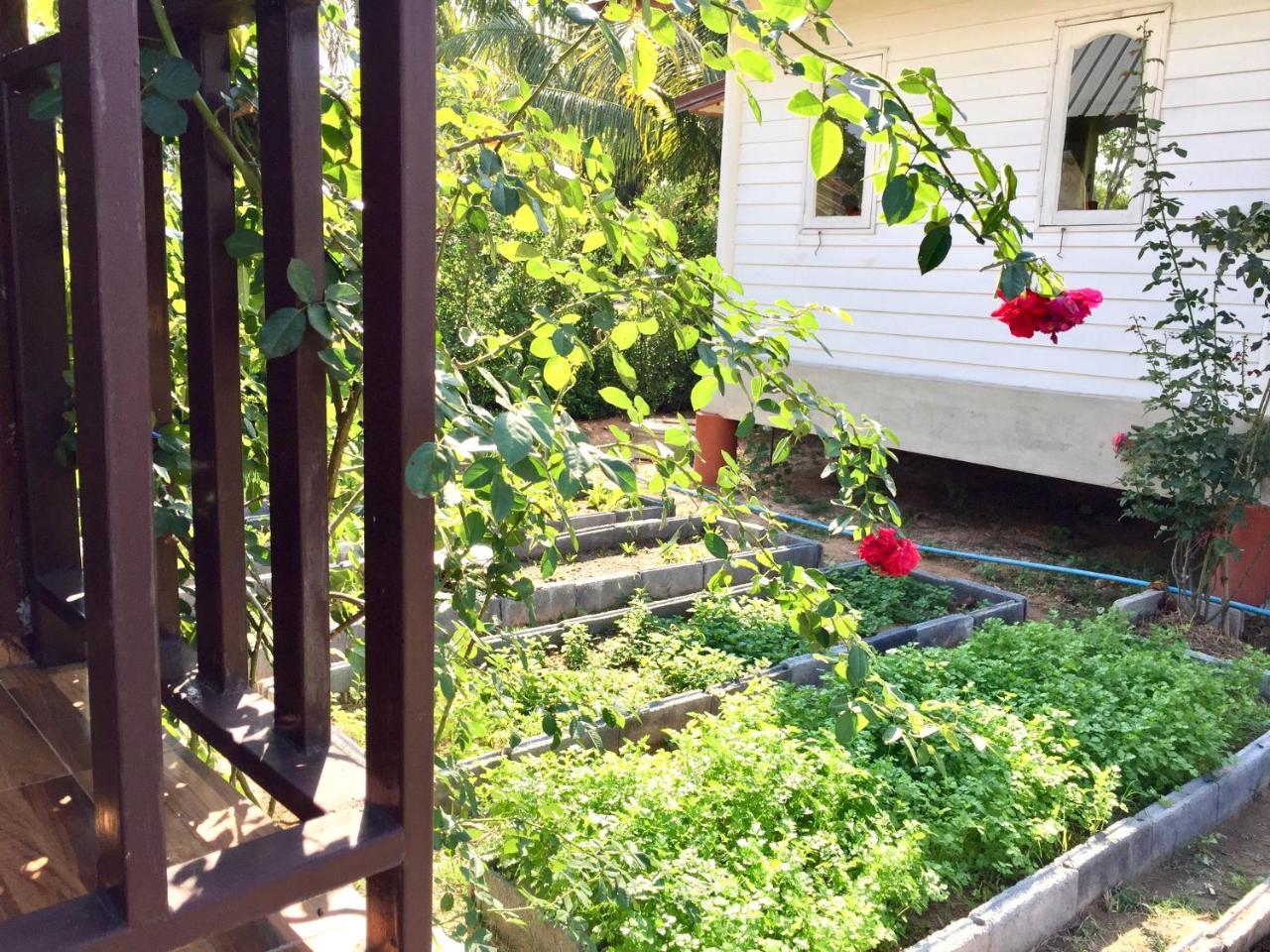 Baan Thung Home Stay Prasat Luaran gambar