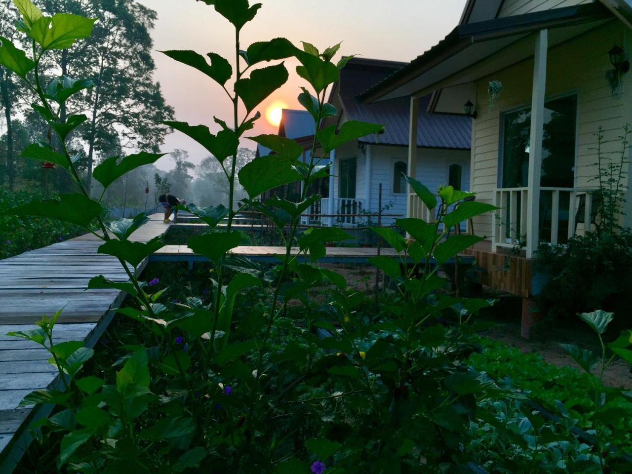 Baan Thung Home Stay Prasat Luaran gambar