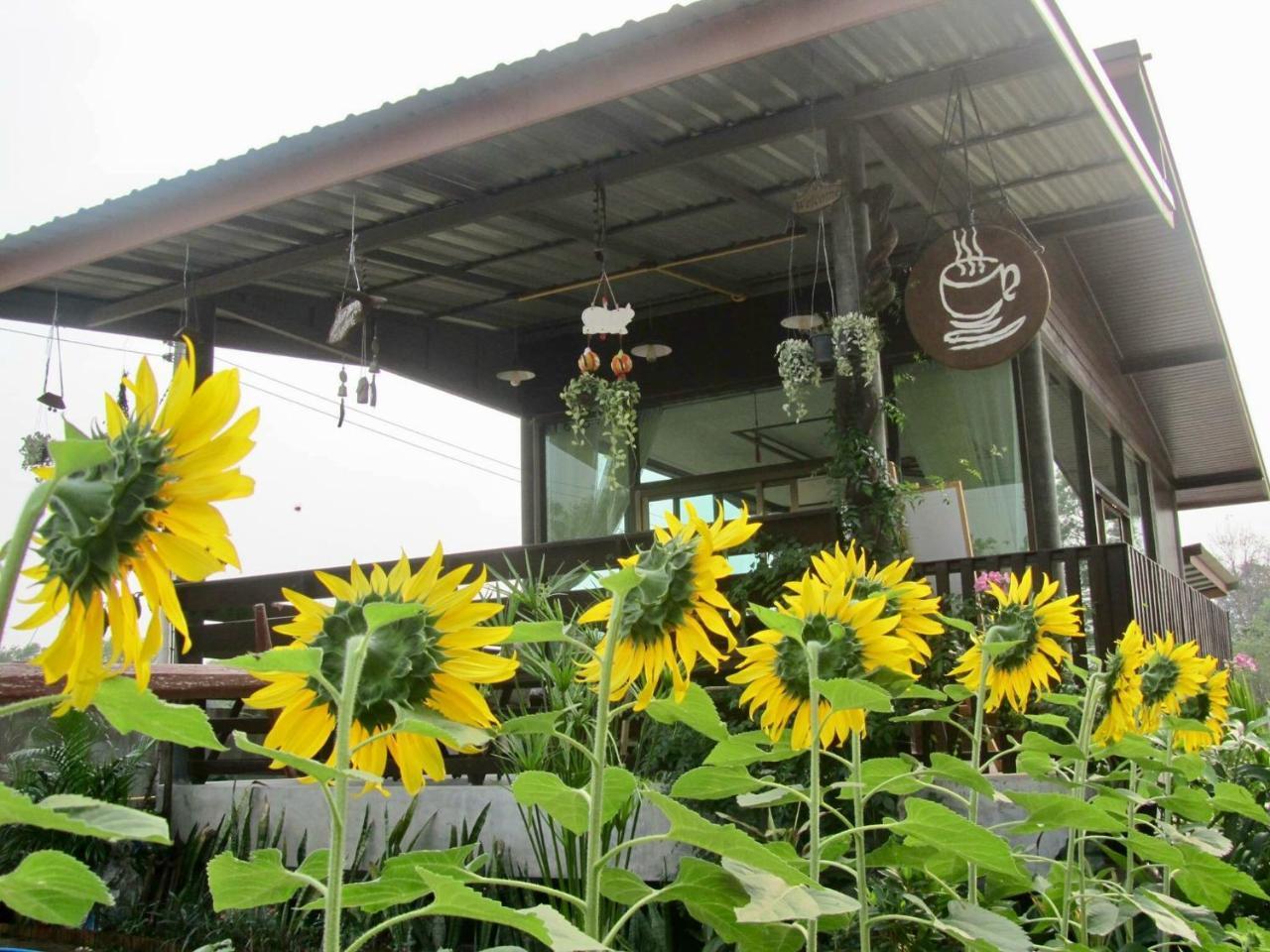 Baan Thung Home Stay Prasat Luaran gambar