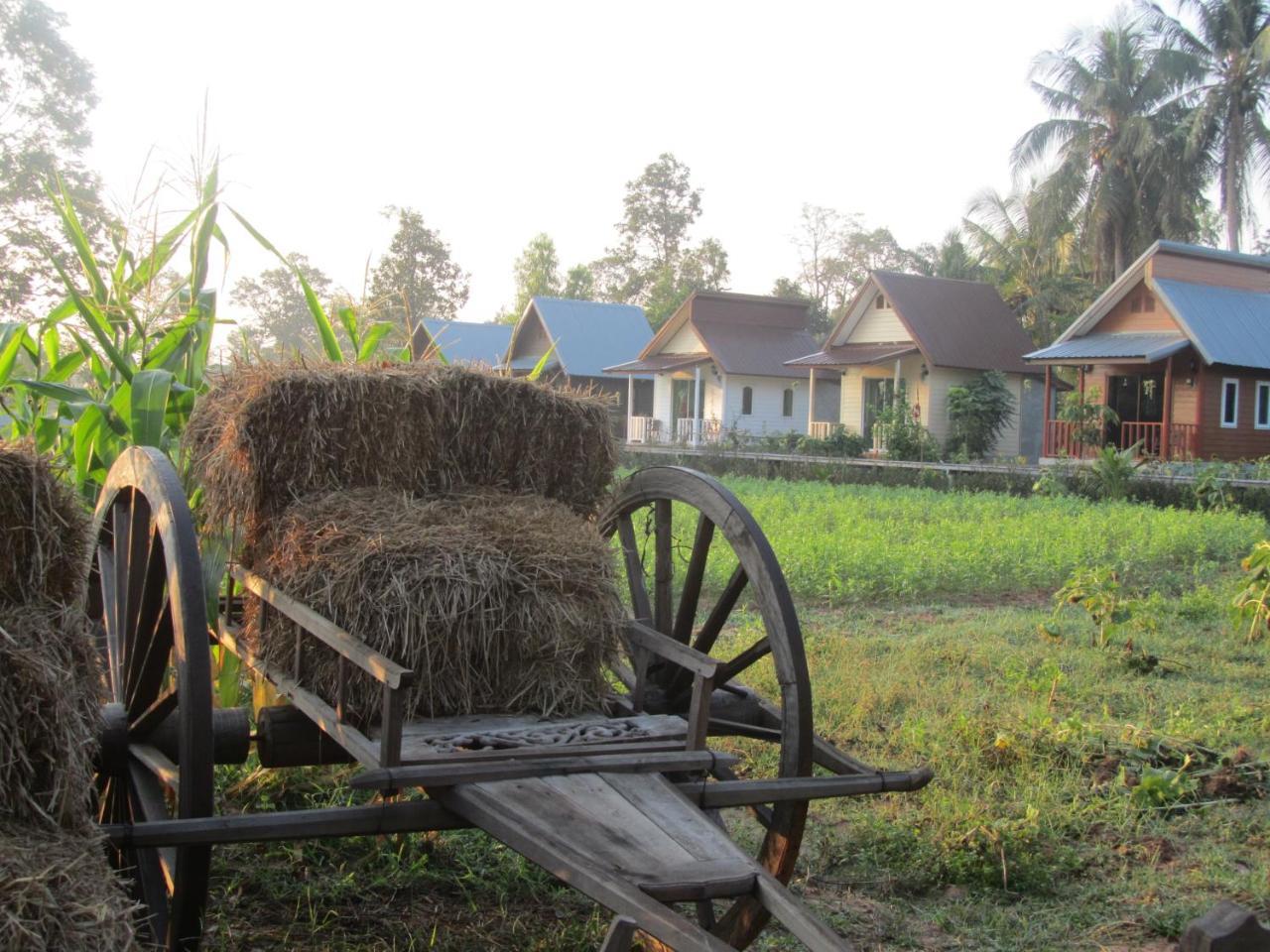 Baan Thung Home Stay Prasat Luaran gambar