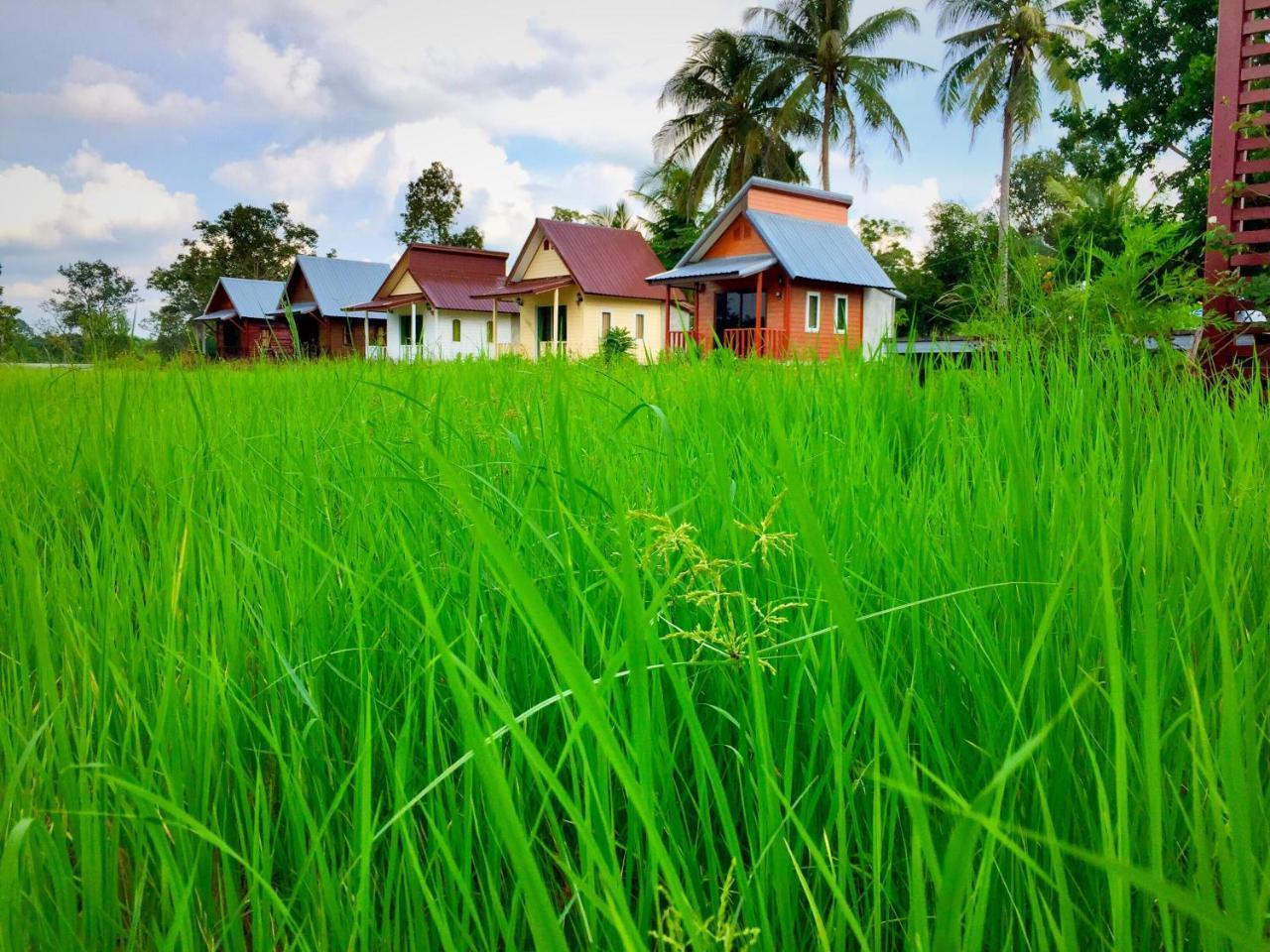 Baan Thung Home Stay Prasat Luaran gambar