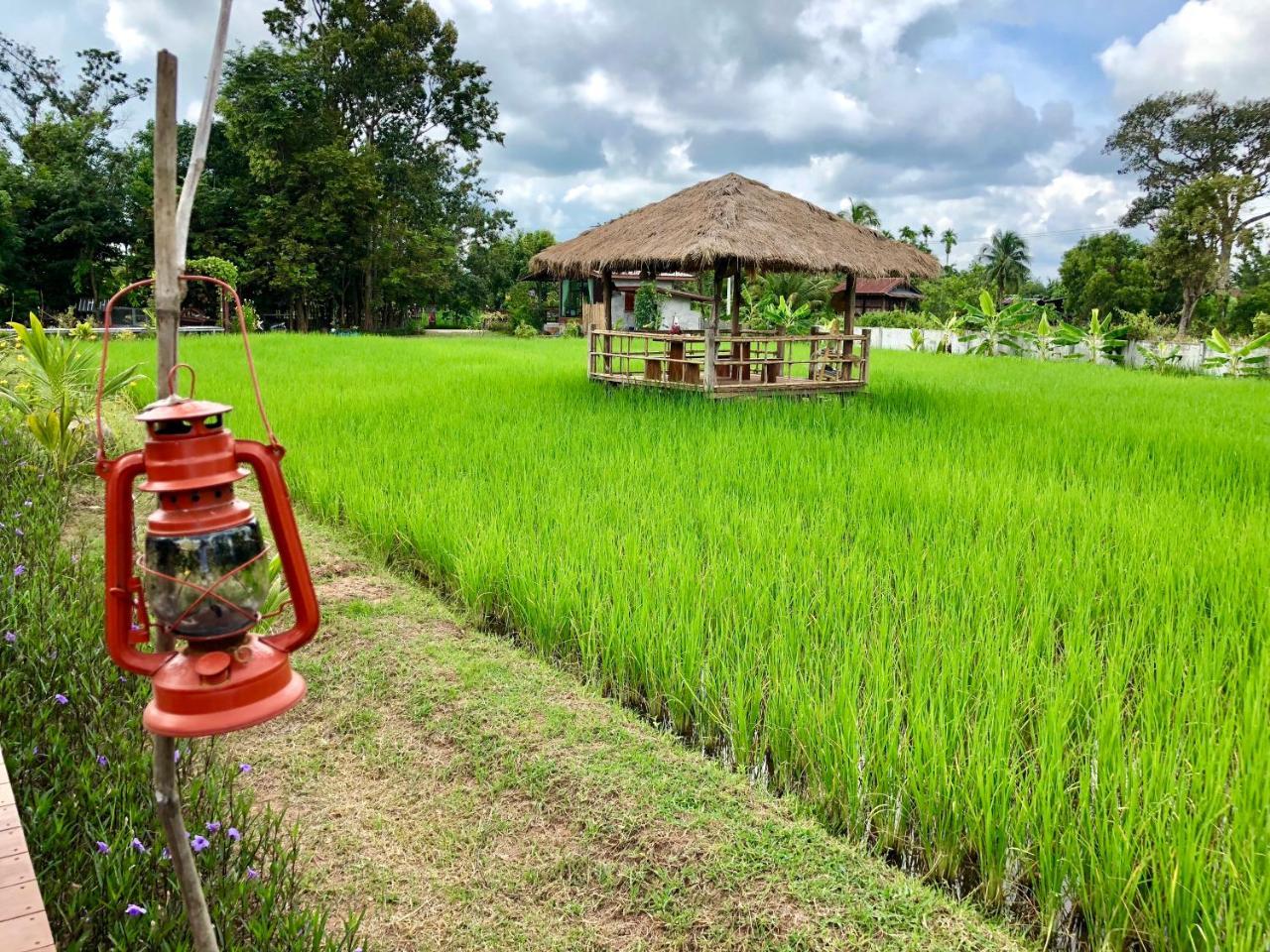 Baan Thung Home Stay Prasat Luaran gambar
