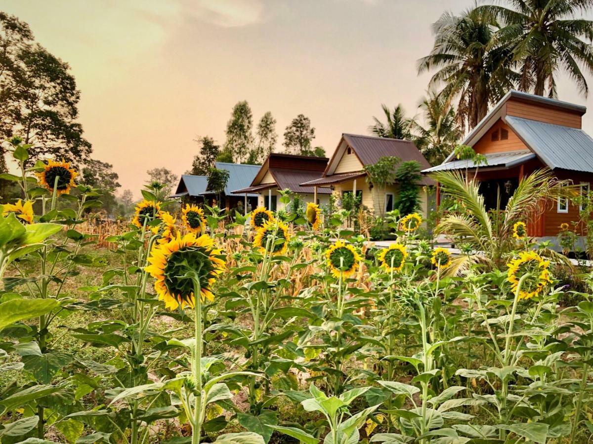 Baan Thung Home Stay Prasat Luaran gambar