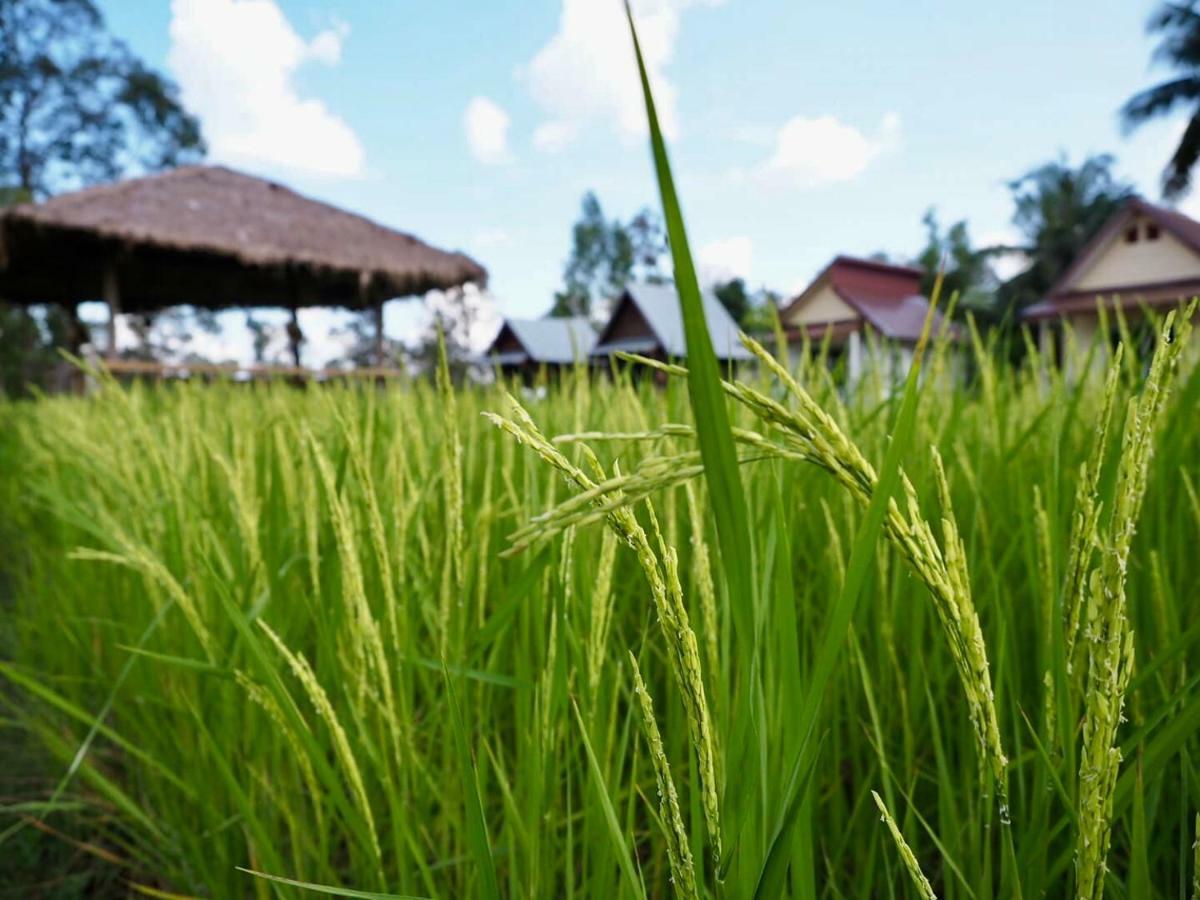 Baan Thung Home Stay Prasat Luaran gambar