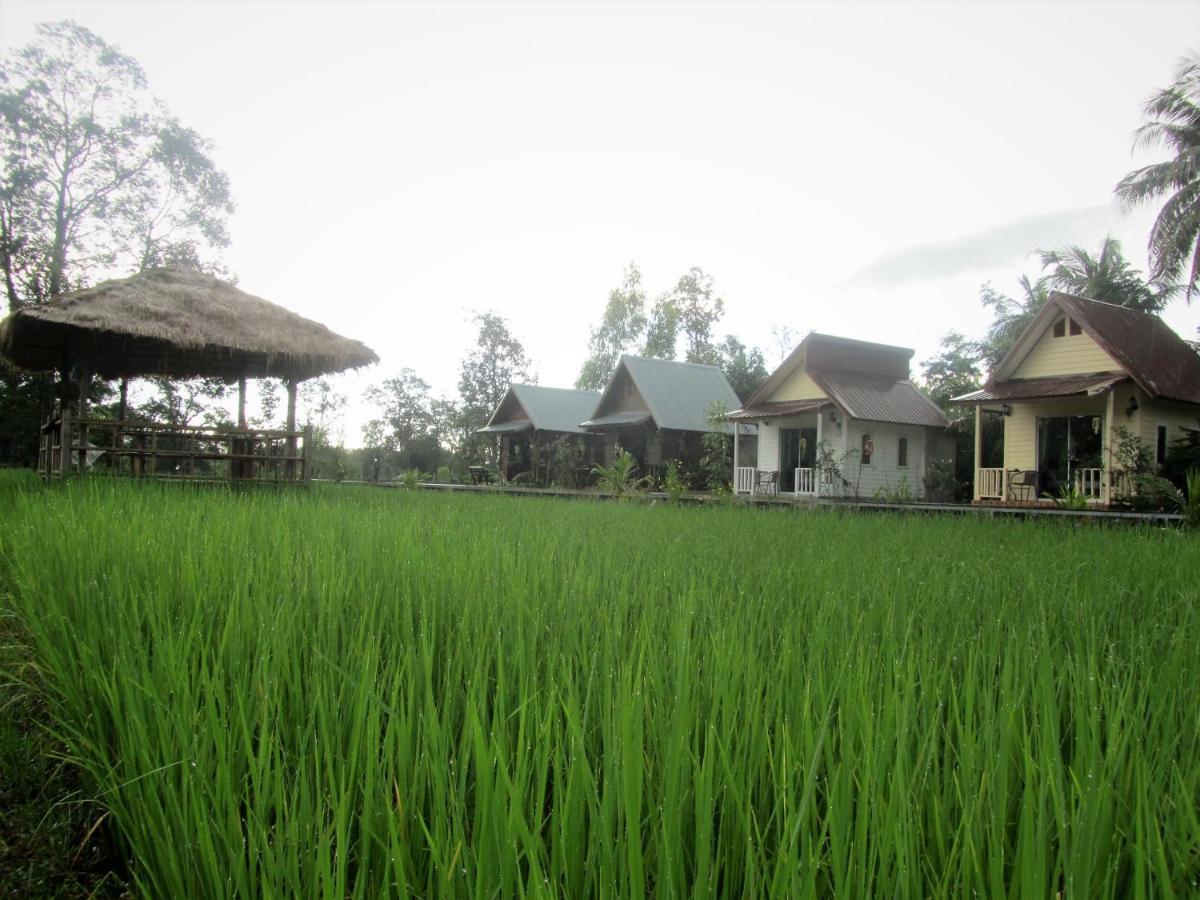 Baan Thung Home Stay Prasat Luaran gambar